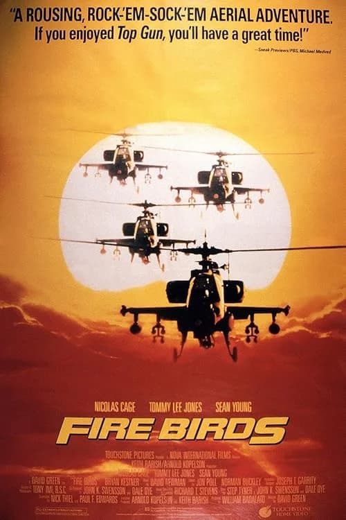 Fire Birds film posteri